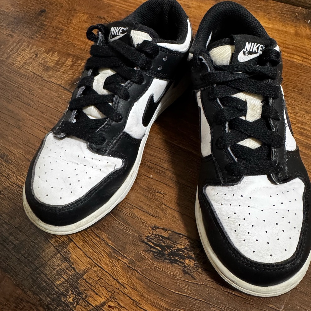 Nike Dunk low kid sneakers